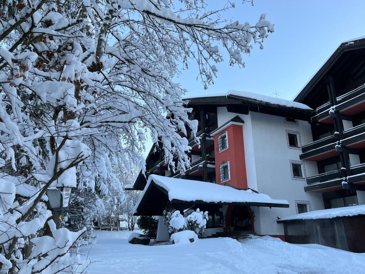 B&B In Seefeld Зеефельд в Тироле Экстерьер фото